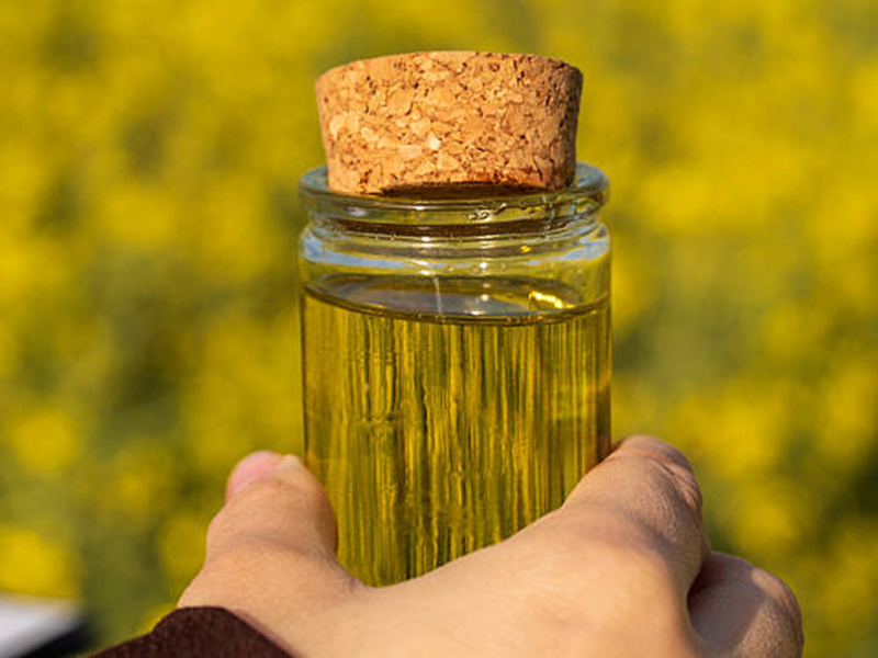 Application Value of Oil Press Machines in Agricultural Product Deep Processing